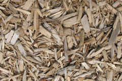 biomass boilers Gupworthy